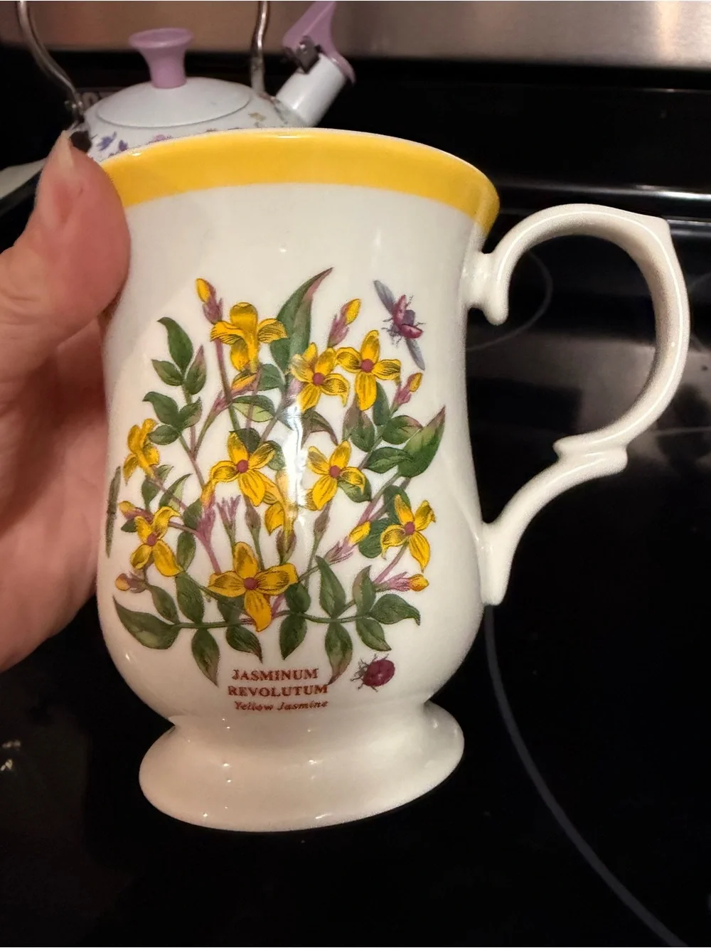 Portmeirion Jasmine Yellow Floral Botanical China Mug